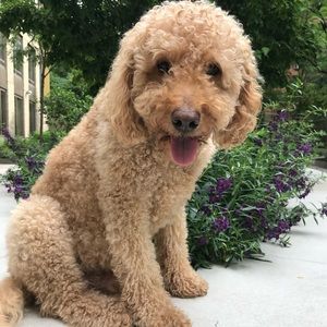 Please Bookmark My Closet!